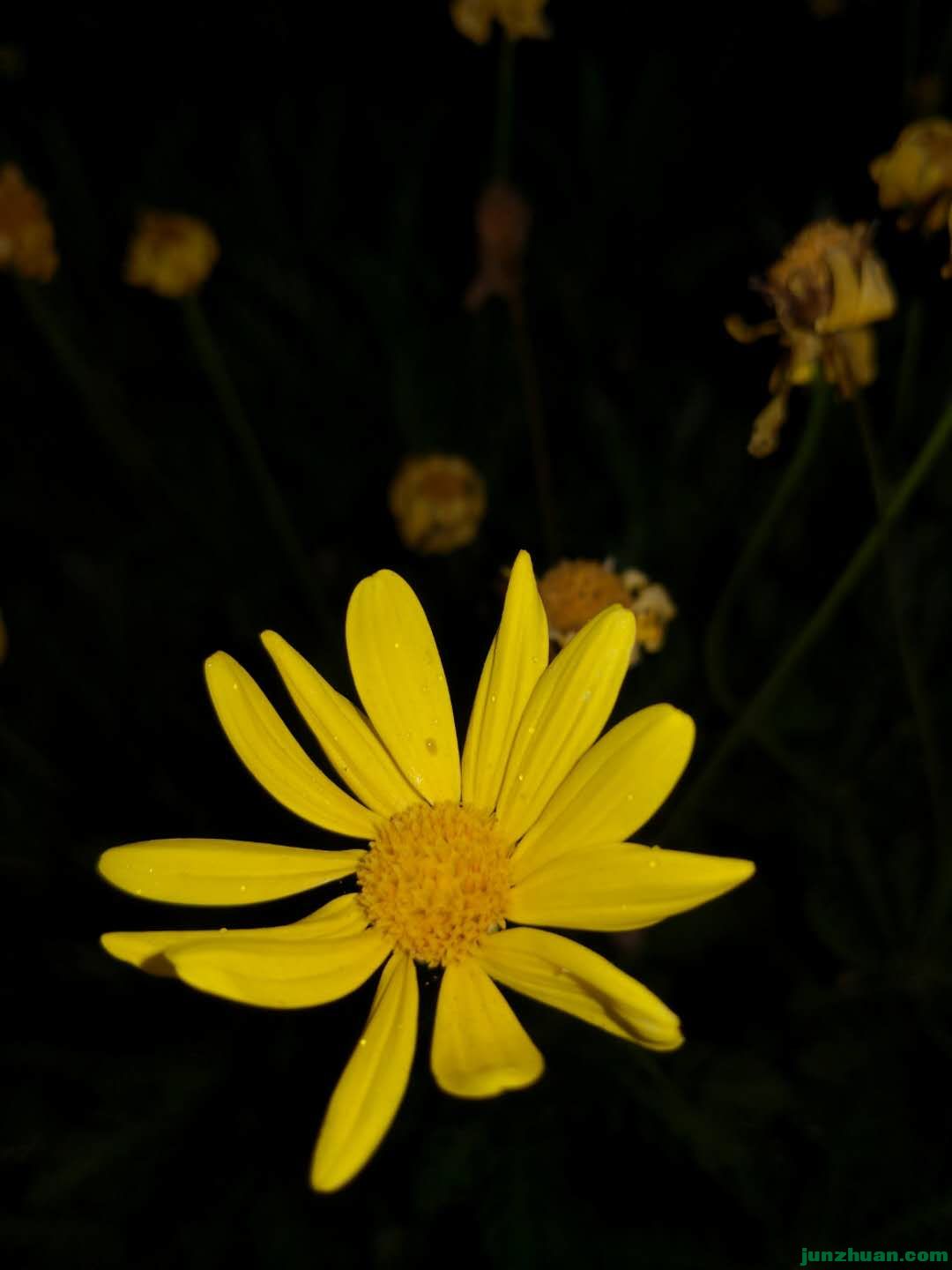 ΢ͼƬ_20190521141556.jpg
