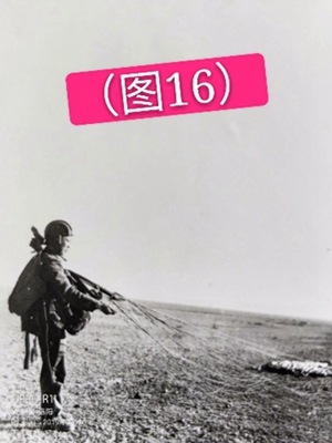 ͼ16.jpg