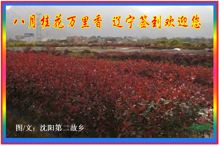 8ǩ1.png