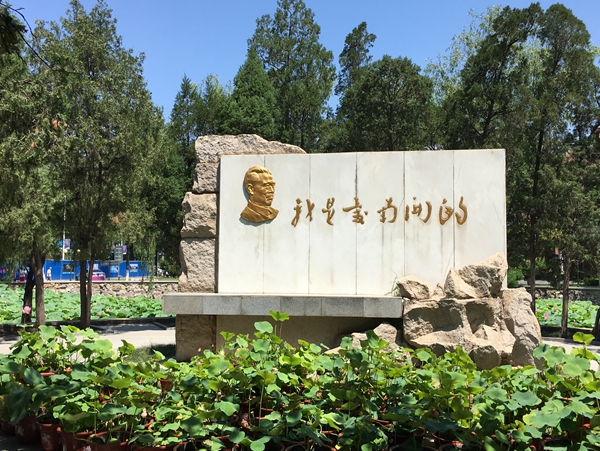 010.jpg