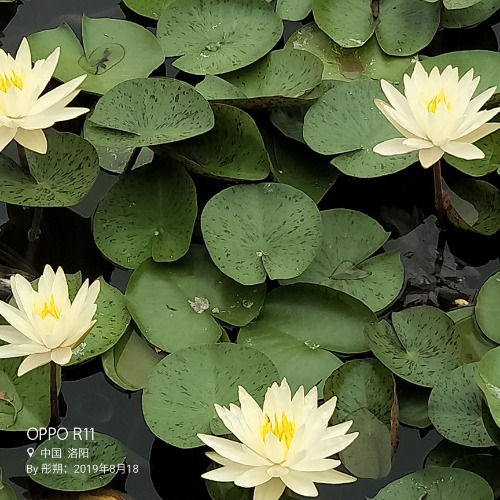 IMG20190825103120.jpg