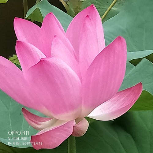 IMG20190825103221.jpg