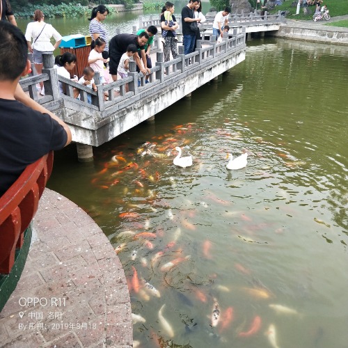 IMG20190825103430.jpg
