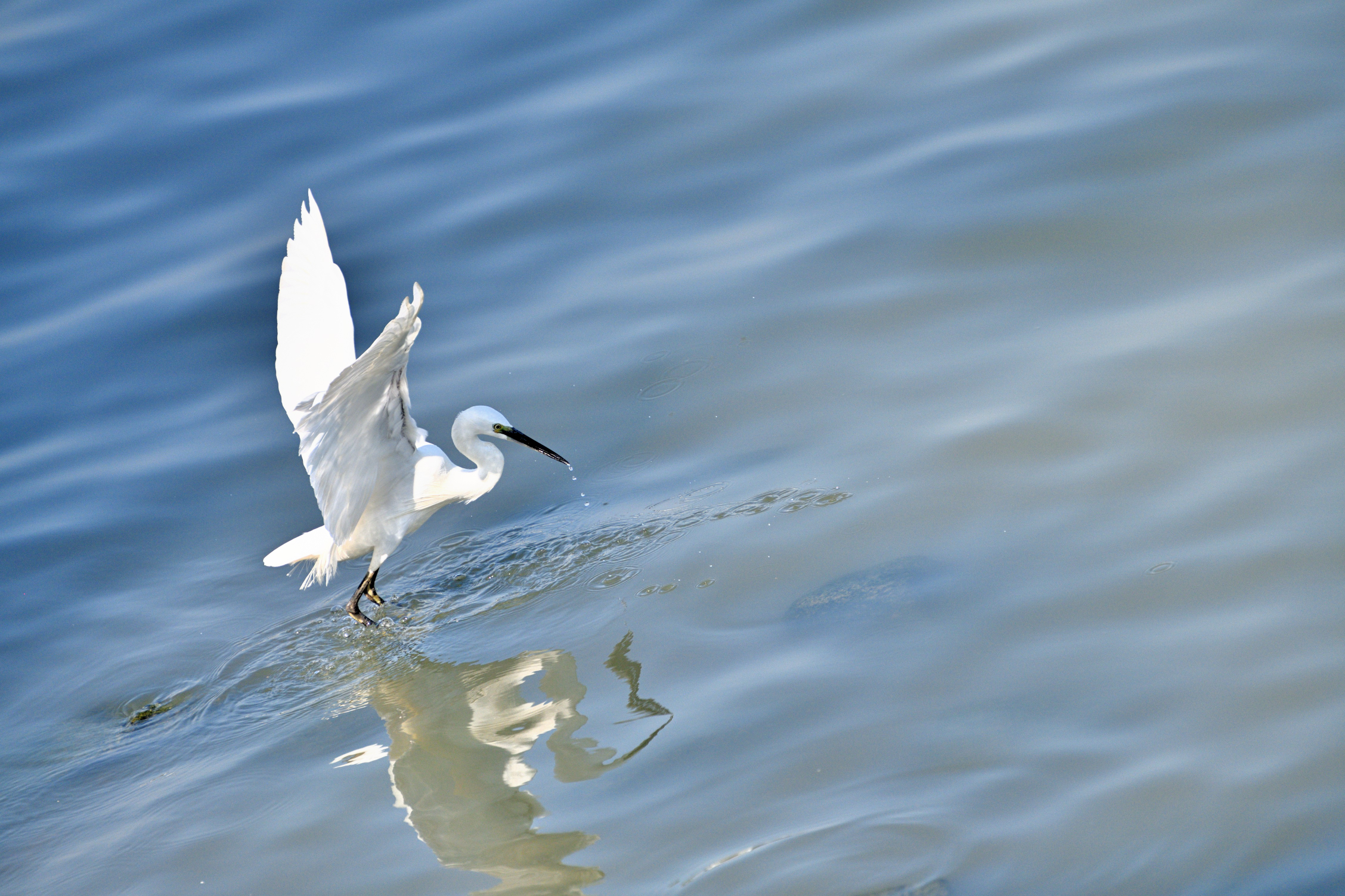 DSC_3896xin_00001.jpg