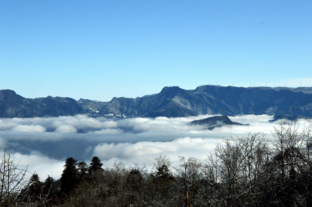 DSC_0050__.jpg