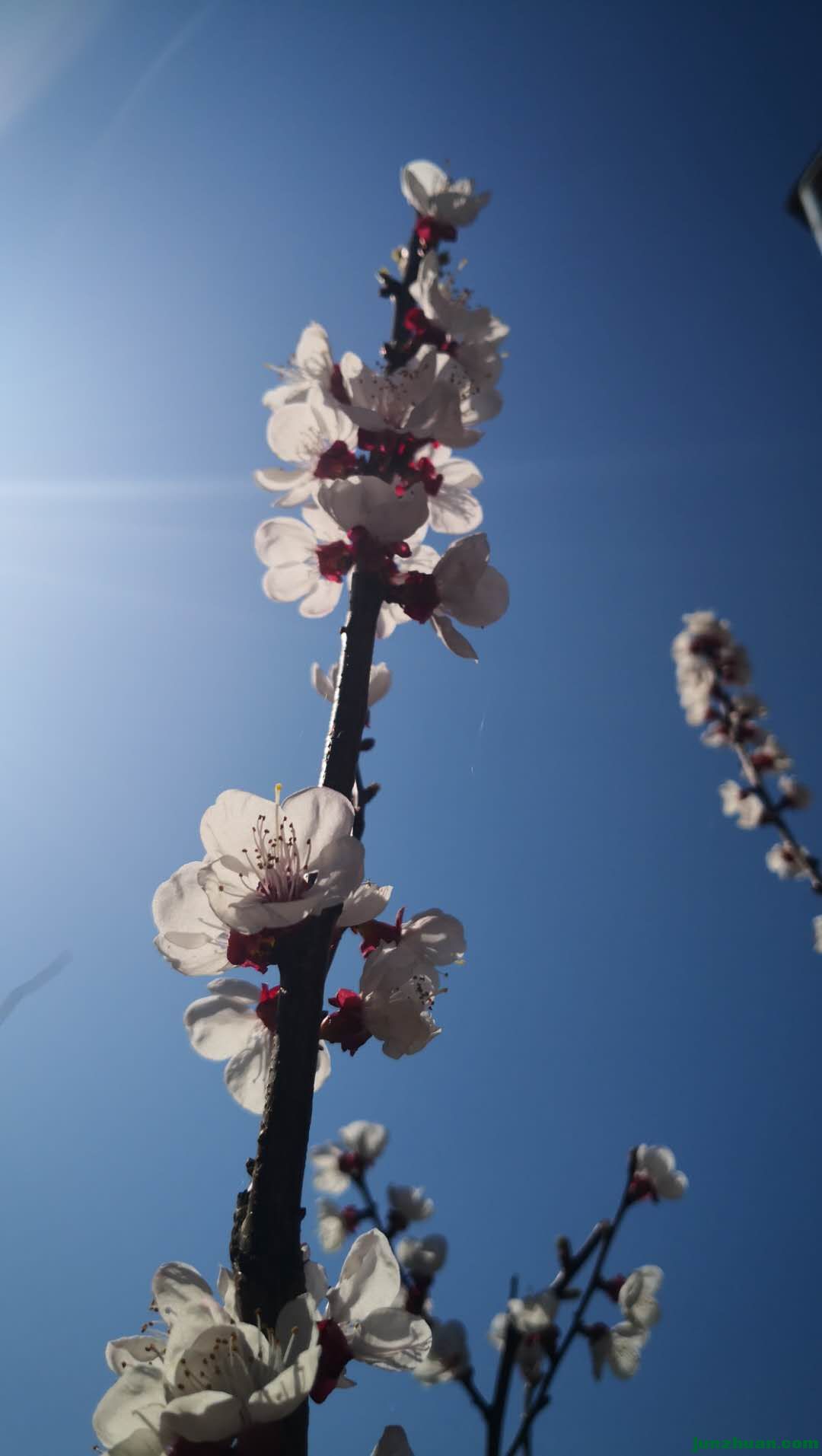 ΢ͼƬ_20200315184503.jpg