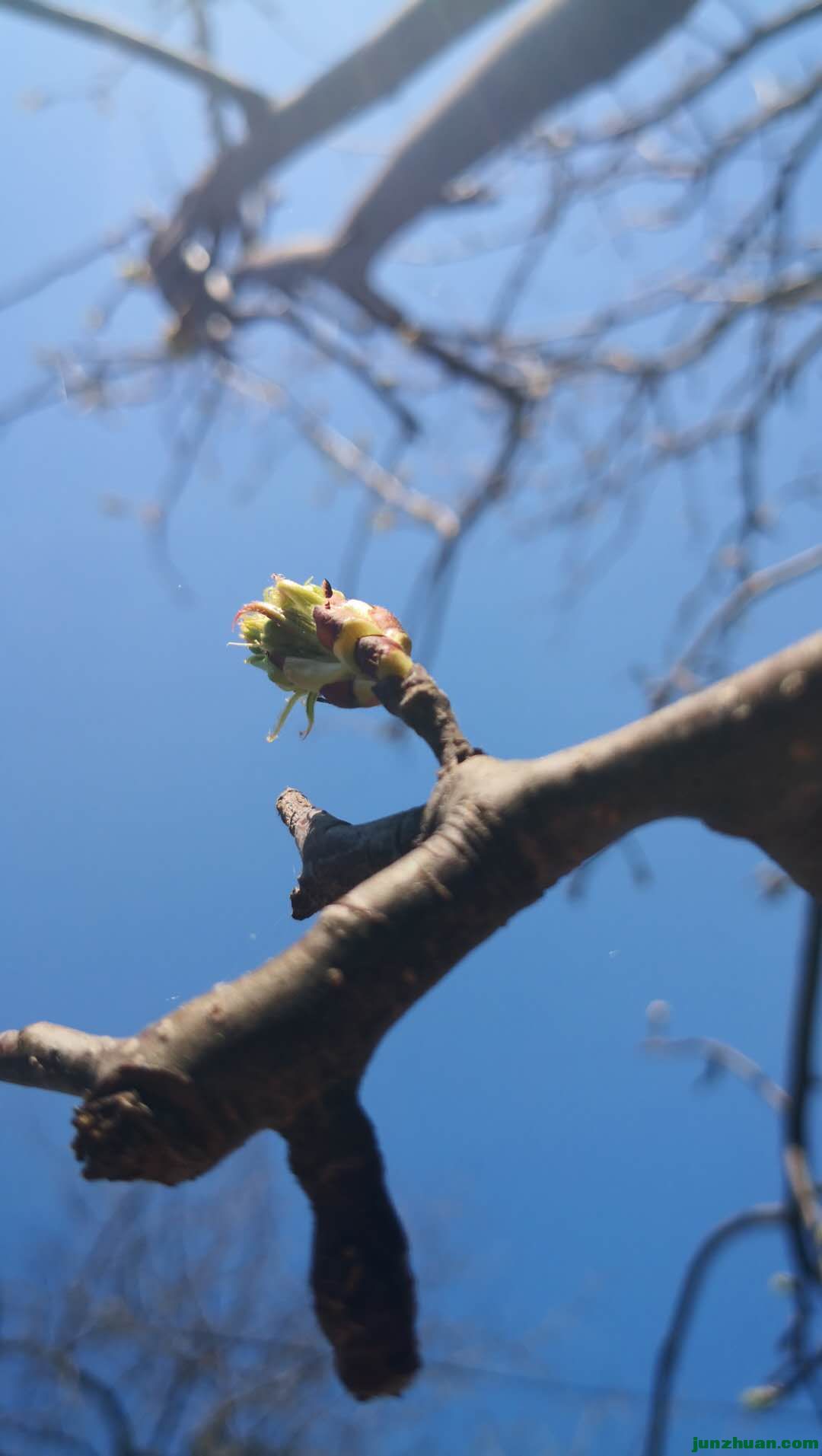 ΢ͼƬ_20200315184452.jpg