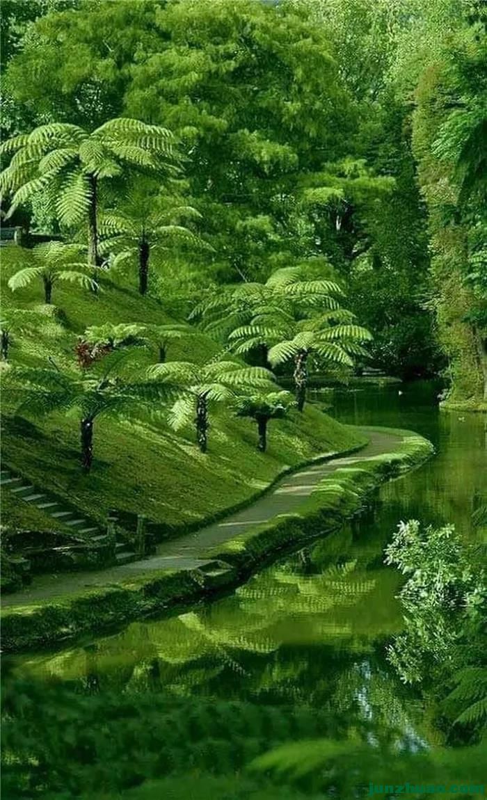 ΢ͼƬ_20200415212923.jpg