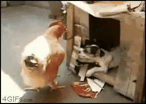 593BEFE550E9A27BA2E59845AAD71086.gif