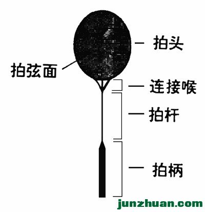 image.jpg