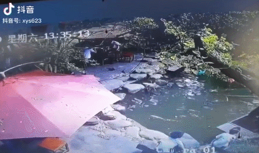 7c1544b62bb74b2b80d8e4c3a1f5ffd5.gif
