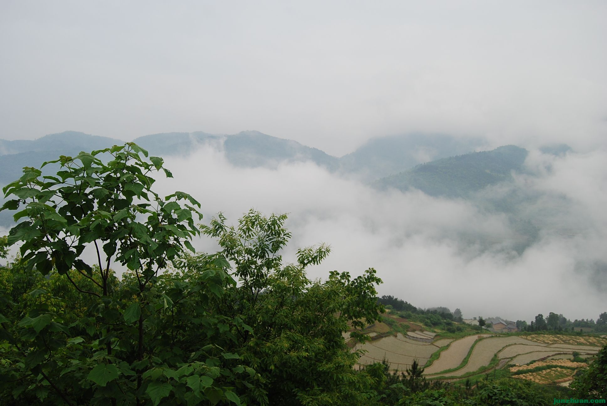 DSC_0019.JPG
