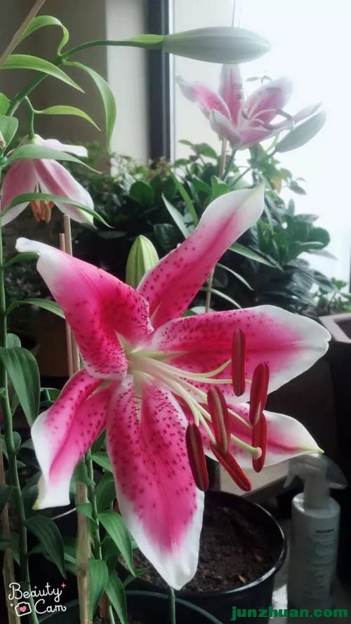 ΢ͼƬ_20201031050957.jpg