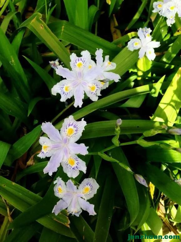 ΢ͼƬ_20201031052454.jpg
