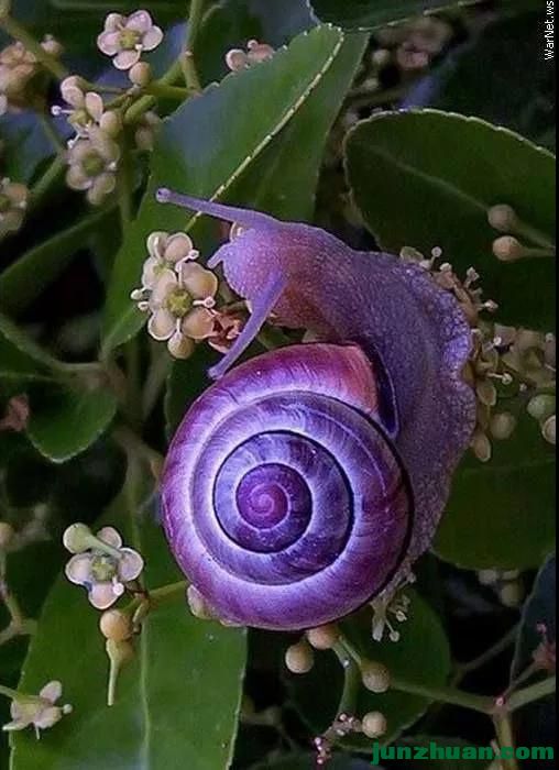 ΢ͼƬ_20201101042219.jpg