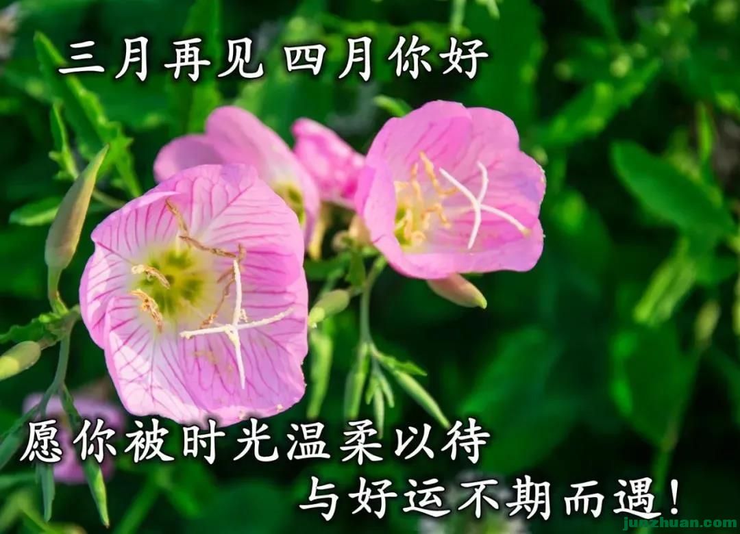 u=1318483543,3814294265&amp;fm=26&amp;gp=0.jpg