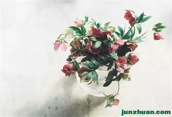 ΢ͼƬ_20210418050423.jpg