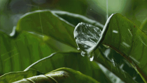 5497-kpamyih6696476.gif