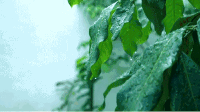 ΢ͼƬ_20210402043515.gif