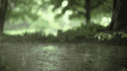 ΢ͼƬ_20210409051807.gif