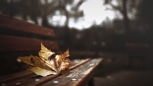 ΢ͼƬ_20210409051855.gif