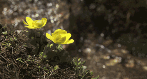 ΢ͼƬ_20210331052345.gif