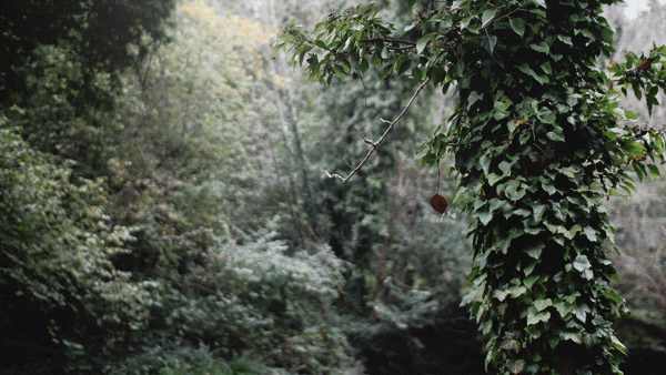΢ͼƬ_20210409051855.gif