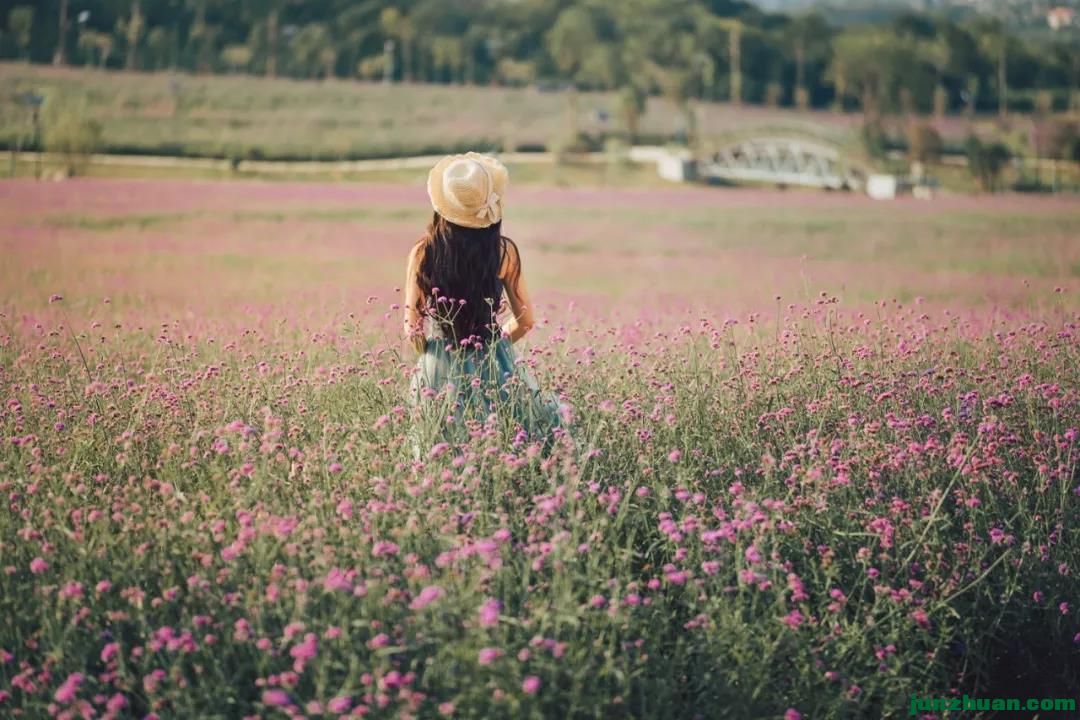 1000 (8).jpg