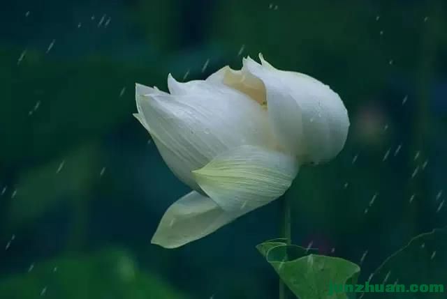 9F44E599313AEBDEFDEC142647045FC65244AB4F_size419_w640_h630.jpg