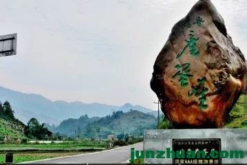 t018bf01f1f1eddd8cc.webp.jpg
