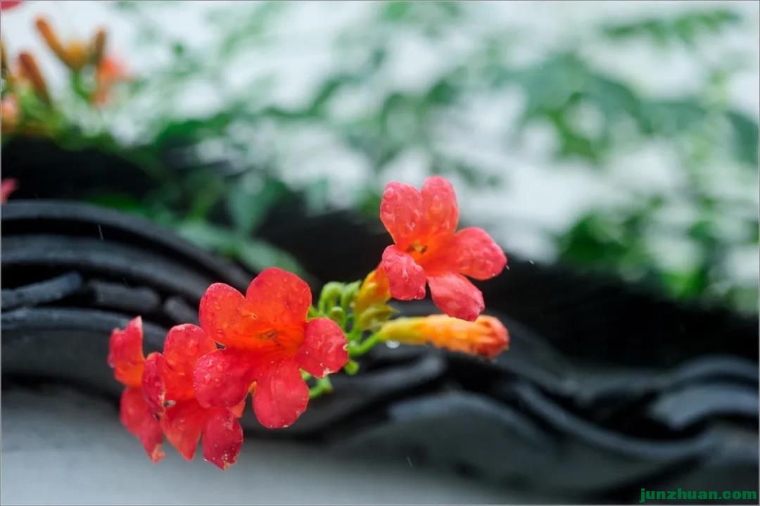 1EC219FD8D071FA2A0E488BAC57C4892A06851E0_size31_w640_h427.jpg