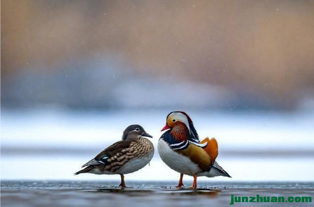 IMG_20201220_152511.png