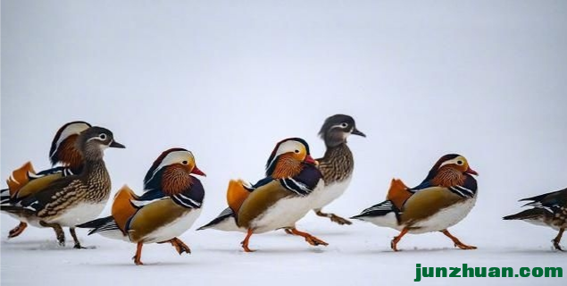 IMG_20201220_152443.png