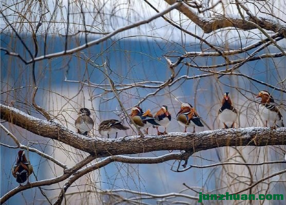 IMG_20201220_152537.png