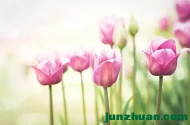 6F52E209BE5DCE8F32E74DD19E272006B720E723_size32_w640_h435.jpg