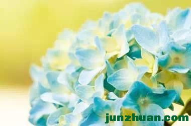 33ECE31BCD32504416955D988D062F0DB76A7F9A_size294_w2500_h1667.jpg