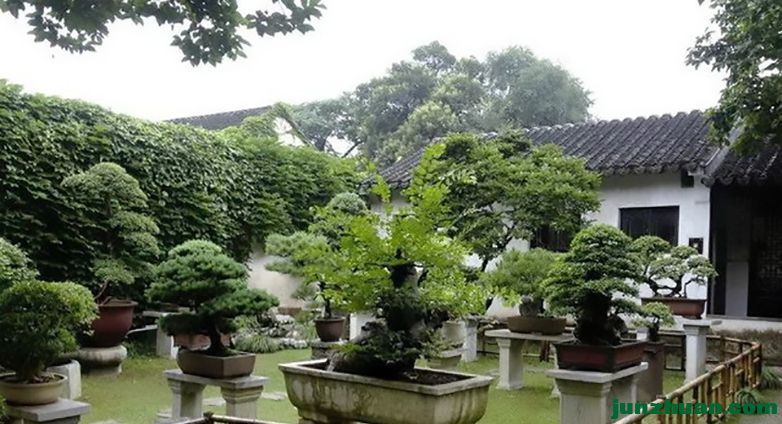 21008-8031-02.jpg