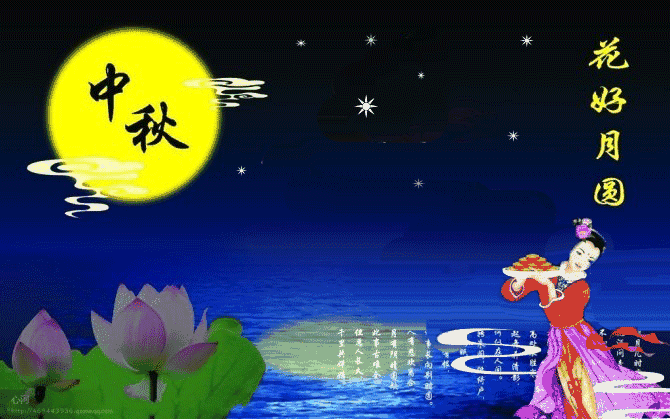01̬.gif
