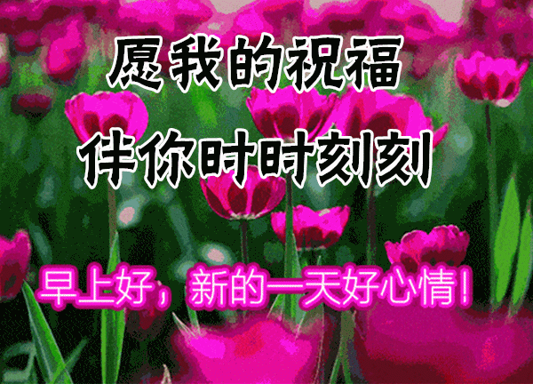 ΢ͼƬ_20211229204056.gif