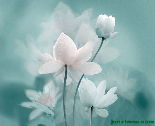 001JSLKszy6Ql8JYbAW4e&amp;690.jpg