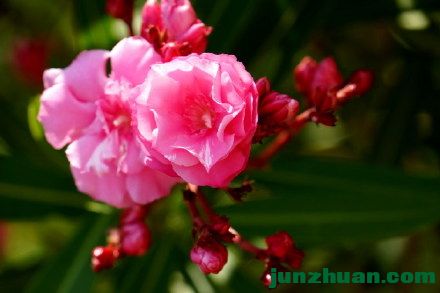 001owUBfzy7KXpFG71a44&amp;690.jpg