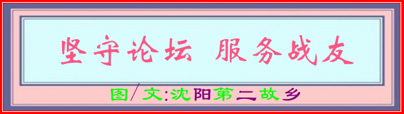 3_.gif