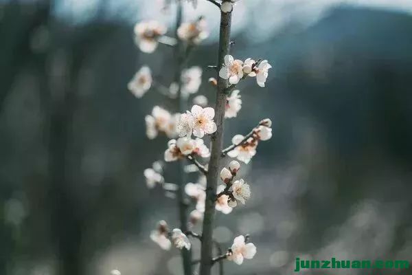 ΢ͼƬ_20220819114449.jpg