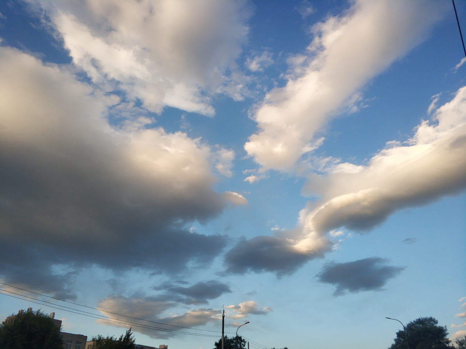 IMG_20220922_174353.jpg