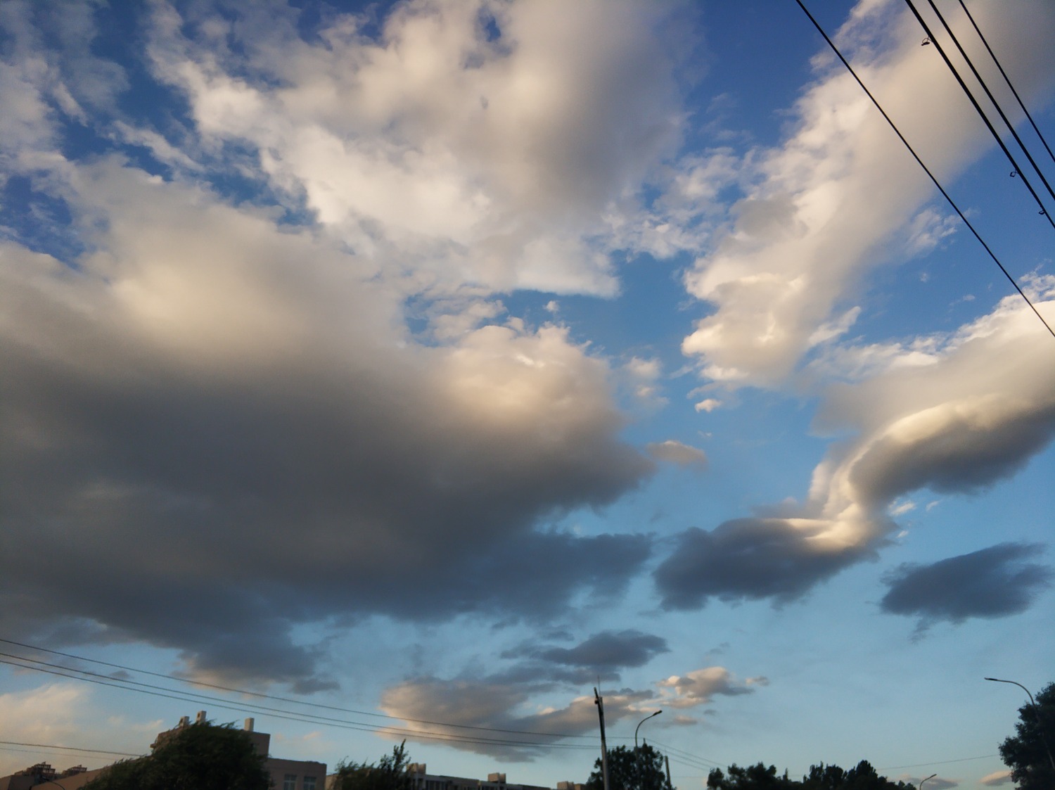 IMG_20220922_174425.jpg