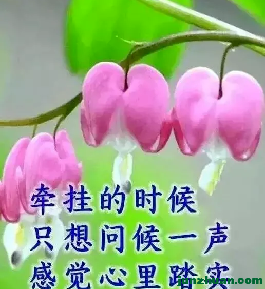 ΢ͼƬ_20221012192700.png
