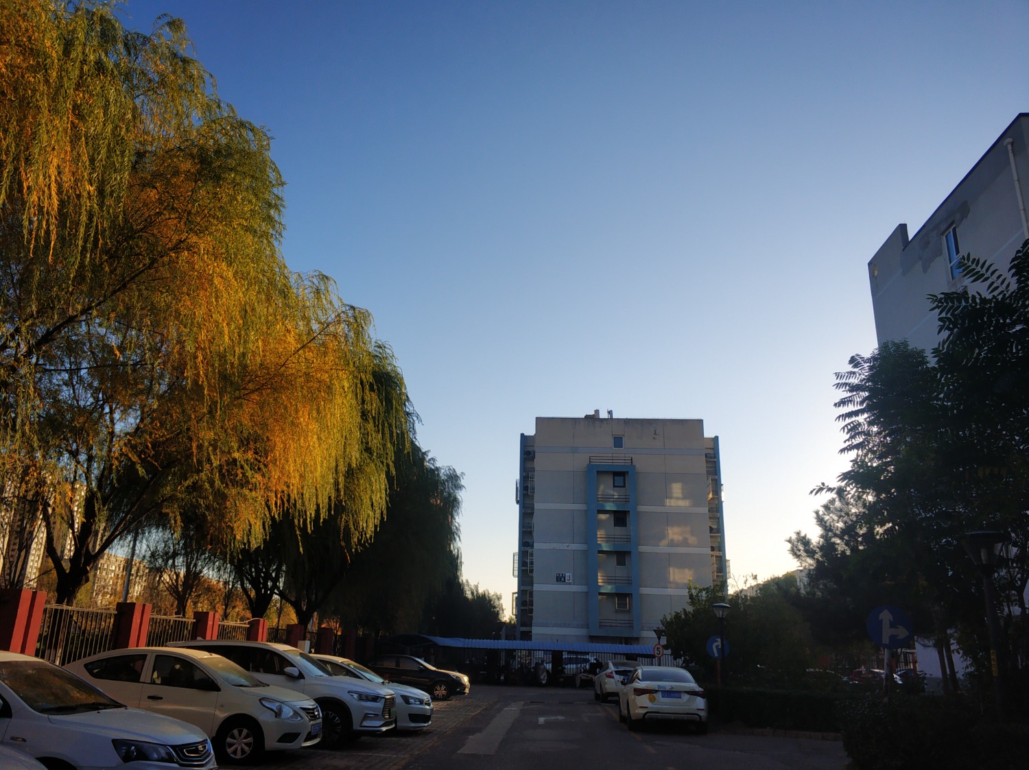 IMG_20221031_074150.jpg