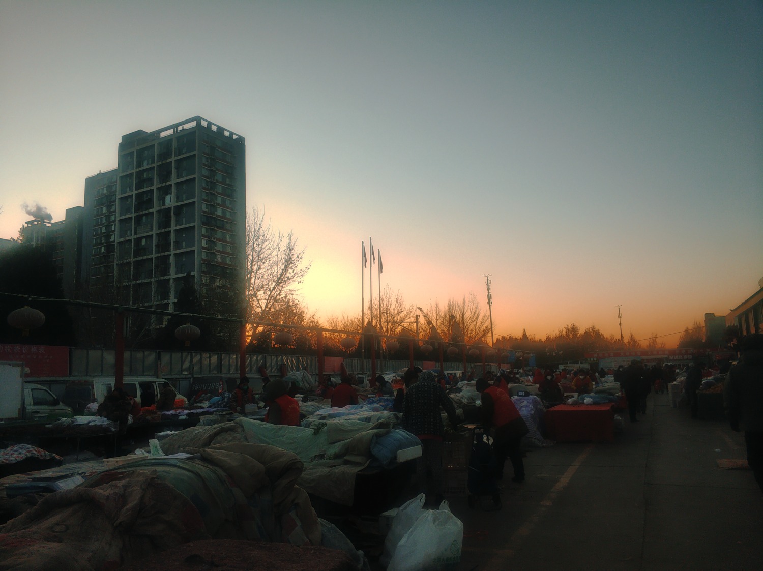 IMG_20221206_091219.jpg