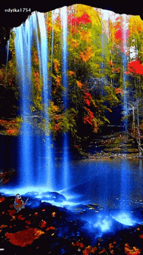 IMG_5147.GIF