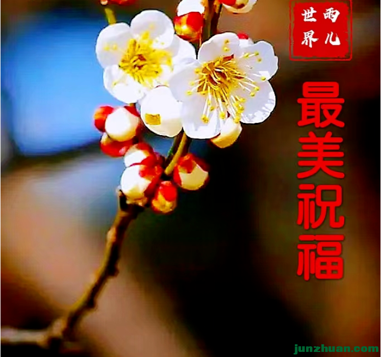 QQͼ20230110104907.png